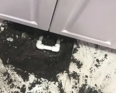 隰县查漏水哪家好
